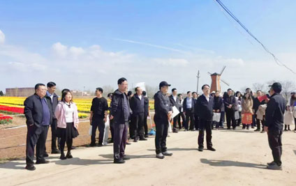 The China Development Bank's Qingdao Branch held a spring hiking event at the Qingdao Tulip Project