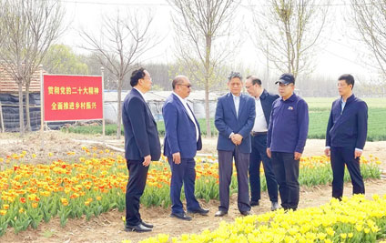 Yin Chengshan, a member of the Party Group and Deputy Director of the Science and Technology Bureau of the 12th Division of Xinjiang Production and Construction Corps, along with his delegation, visited the Qingdao Tulip Project for an investigative research.